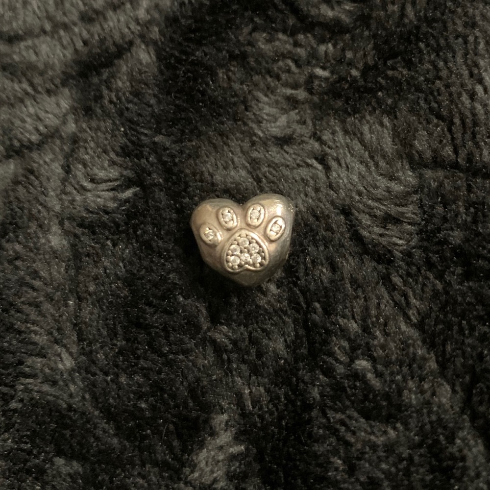 Pandora I love my pet charm